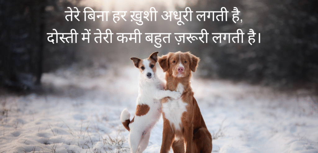 Tere bina har khushi…