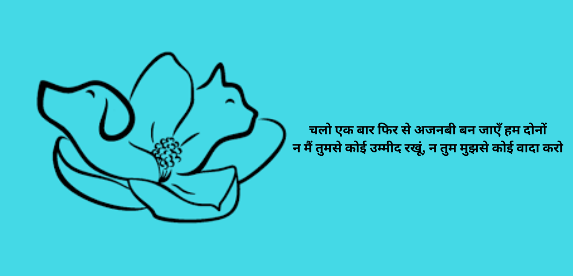Chalo ek baar phir se ajnabi ban jaayein hum dono Na main tumse koi ummeed rakhoon, na tum mujhse koi waada karo