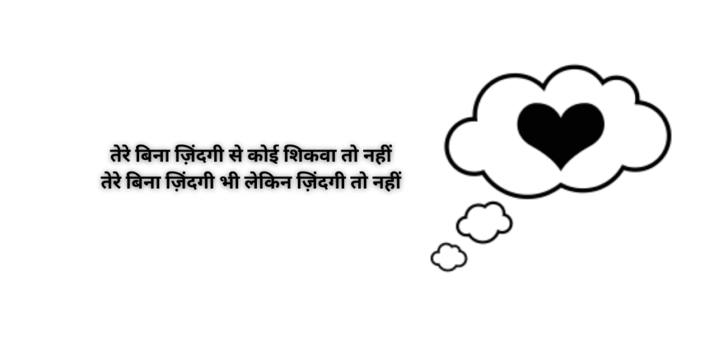 Tere bina zindagi se koi shikwa toh nahin
